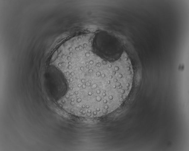 X0000115691105200912241456