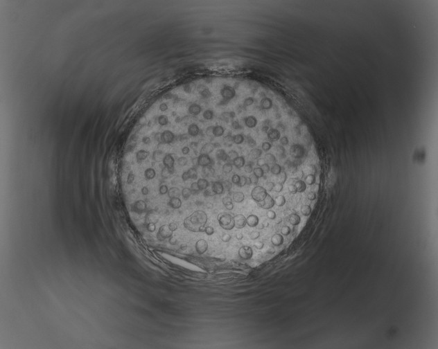 X0000115691106200912241456