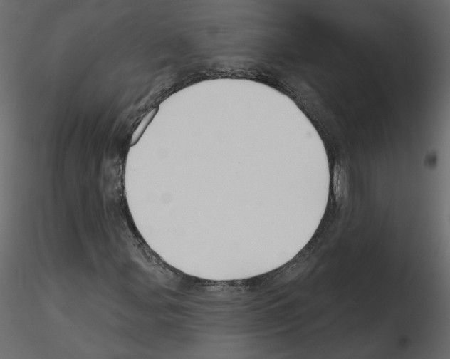 X0000115691107200912241456