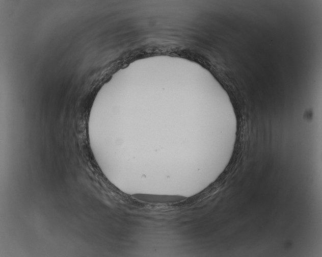 X0000115691109200912241456