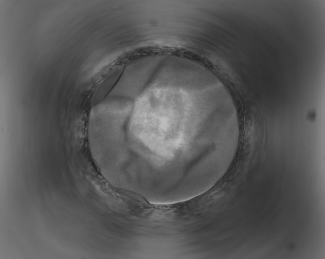 X0000115691110200912241456