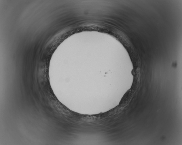 X0000115691111200912241456