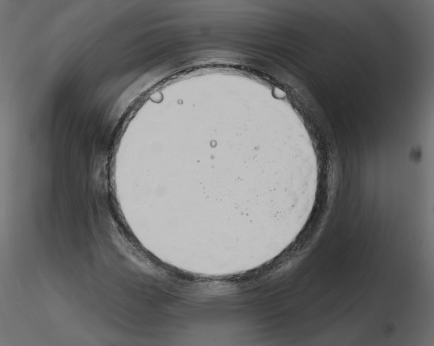 X0000115691113200912241456