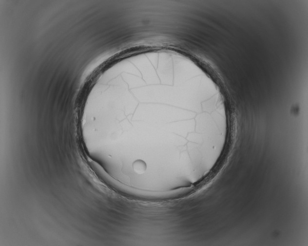 X0000115691114200912241456