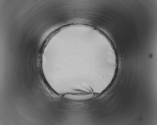 X0000115691115200912241456