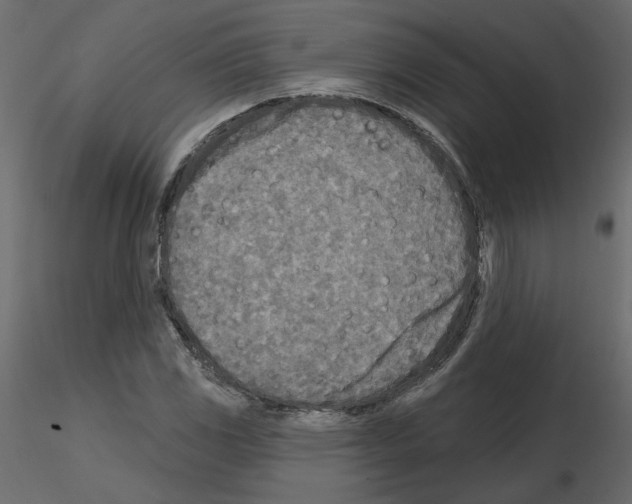 X0000115691117200912241456