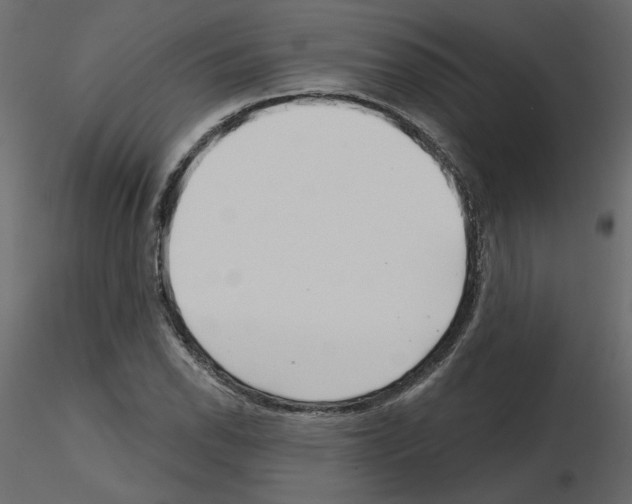 X0000115691118200912241456