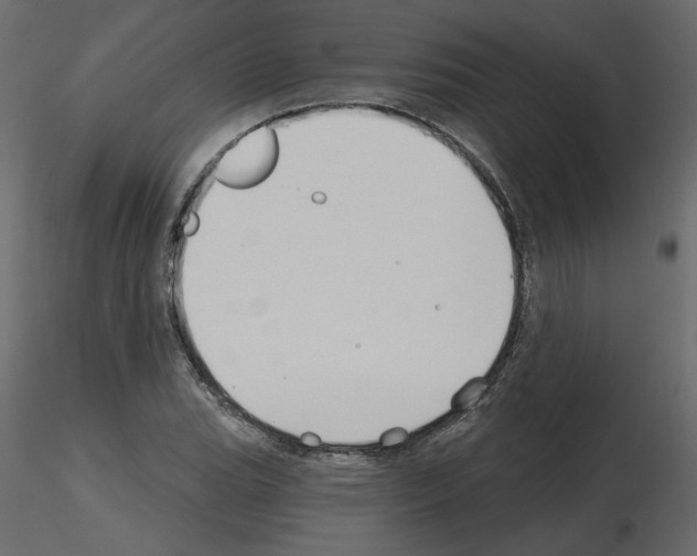 X0000115691119200912241456