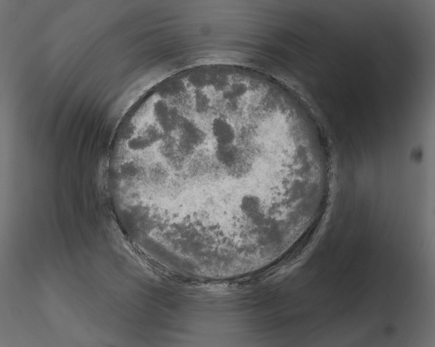 X0000115691121200912241456