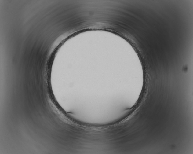 X0000115691122200912241456