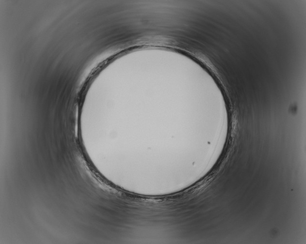 X0000115691123200912241456