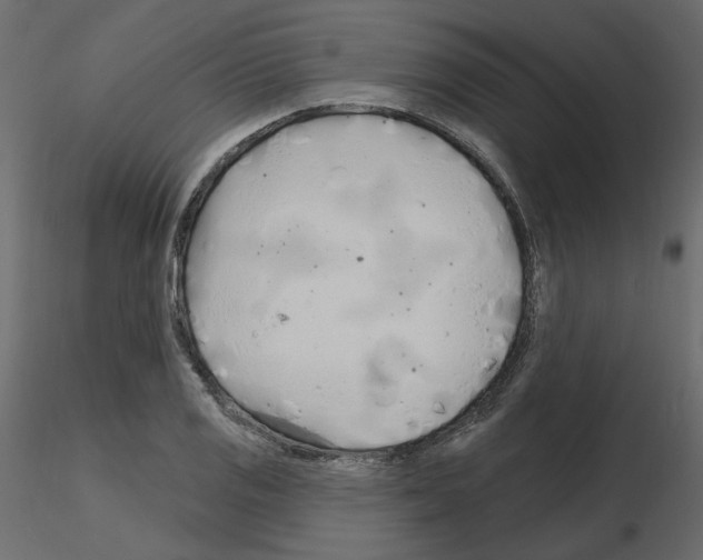 X0000115691125200912241456