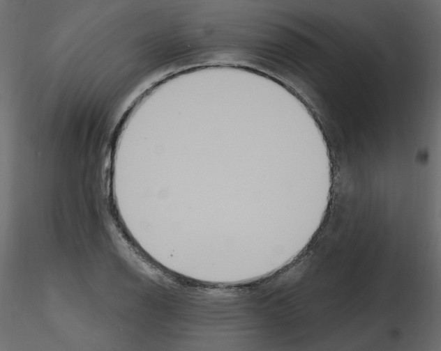 X0000115691126200912241456