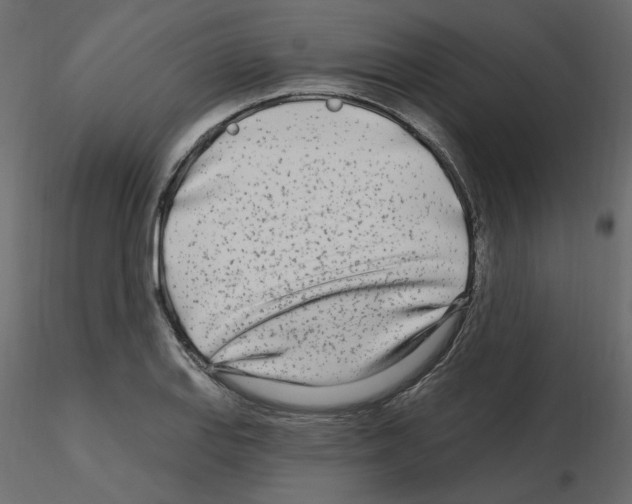 X0000115691127200912241456