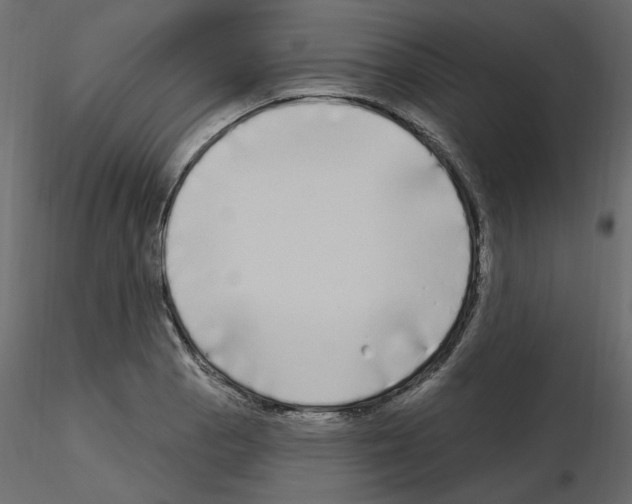 X0000115691129200912241456
