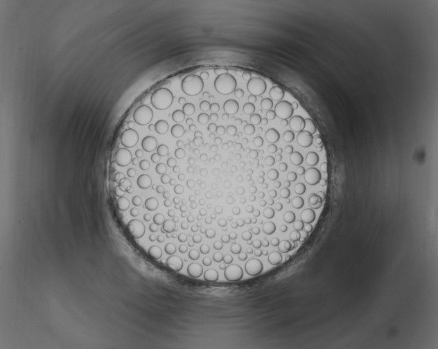 X0000115691130200912241456
