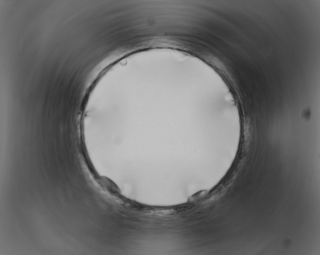 X0000115691133200912241456