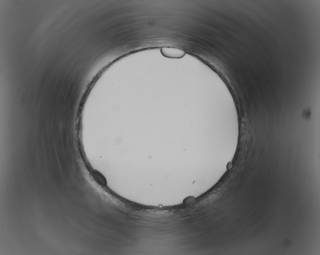 X0000115691135200912241456