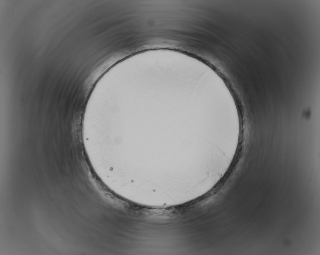 X0000115691137200912241456