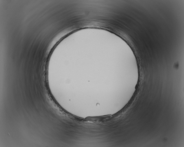 X0000115691138200912241456