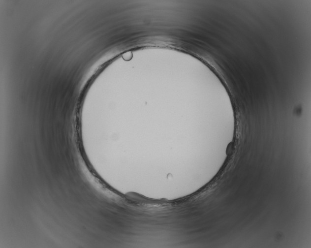 X0000115691139200912241456