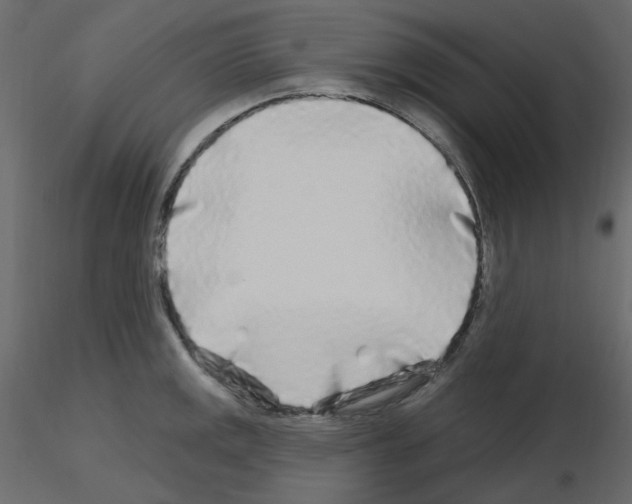 X0000115691141200912241456