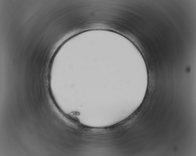 X0000115691142200912241456