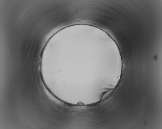 X0000115691143200912241456