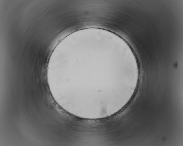X0000115691145200912241456