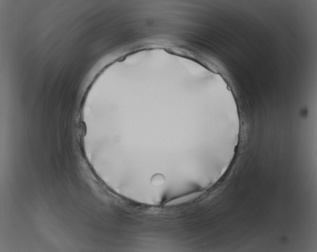 X0000115691146200912241456