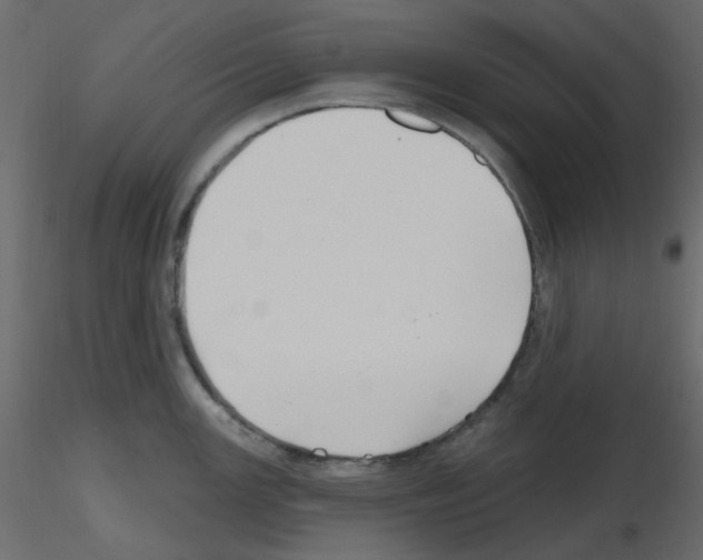 X0000115691147200912241456