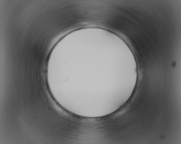 X0000115691149200912241456
