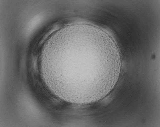 X0000115691150200912241456
