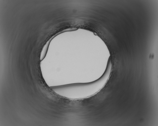 X0000115691153200912241456