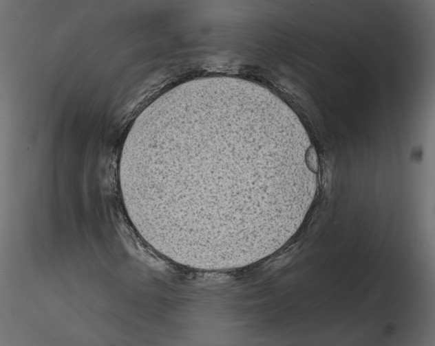 X0000115691154200912241456