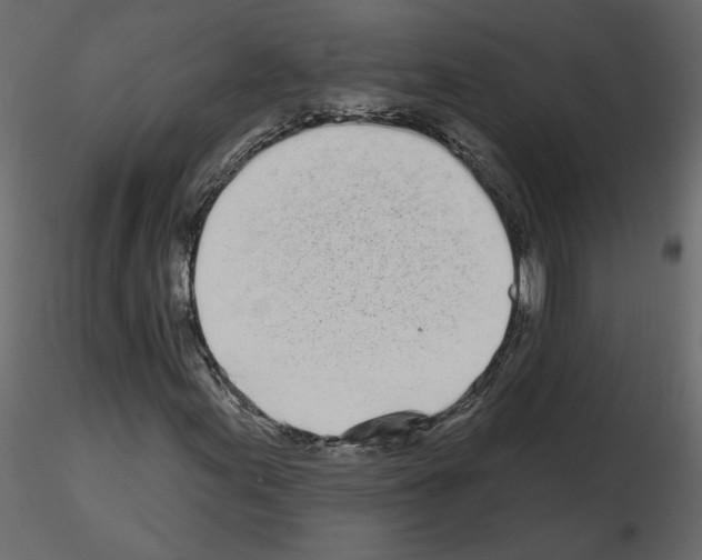 X0000115691155200912241456