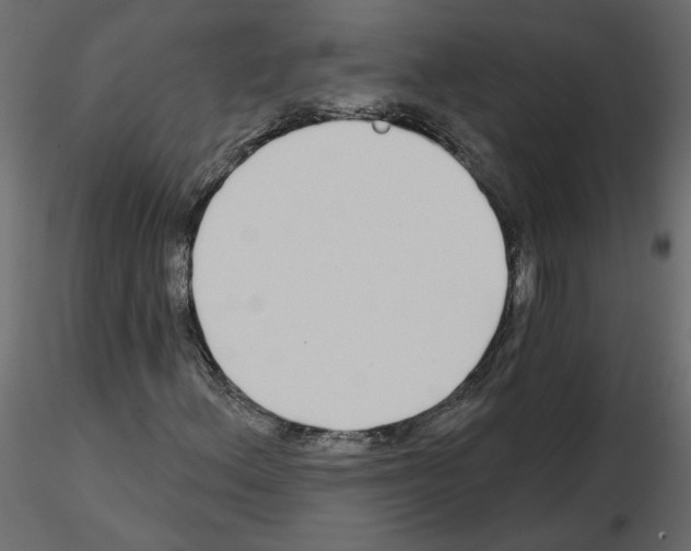 X0000115691156200912241456