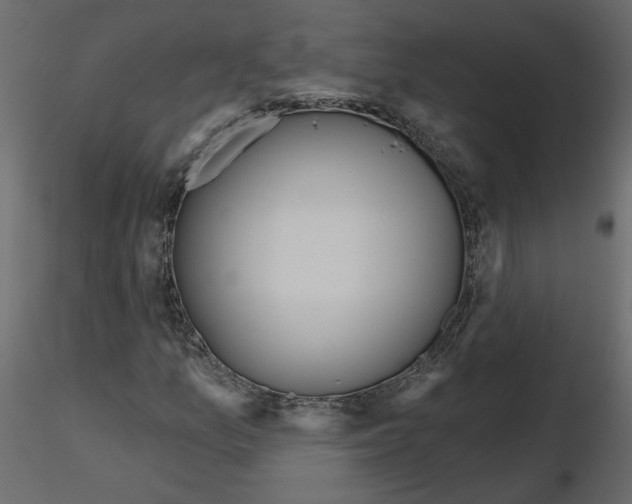 X0000115691157200912241456