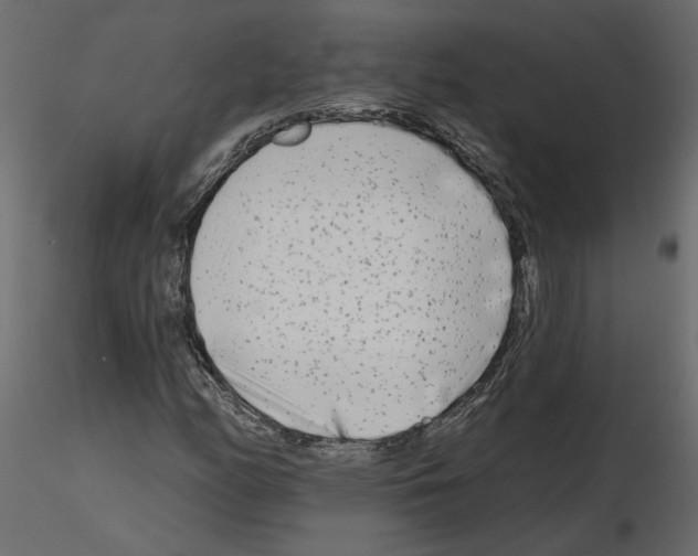 X0000115691158200912241456