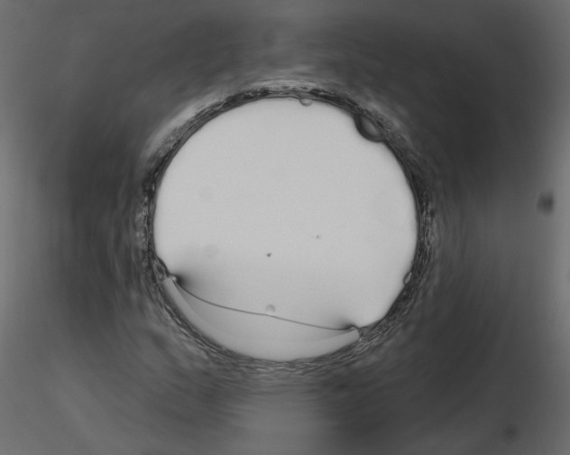 X0000115691159200912241456