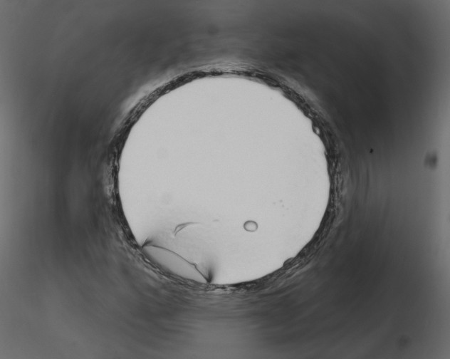 X0000115691160200912241456