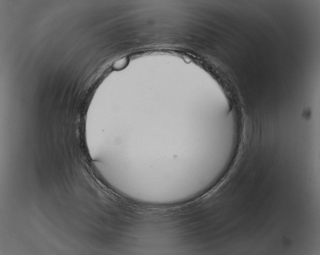 X0000115691161200912241456