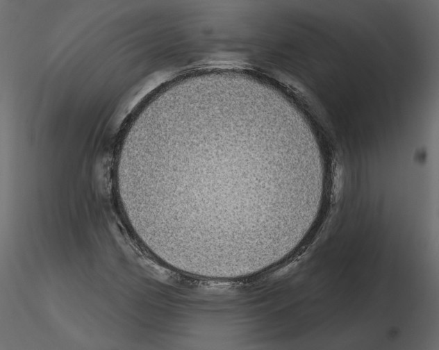 X0000115691162200912241456