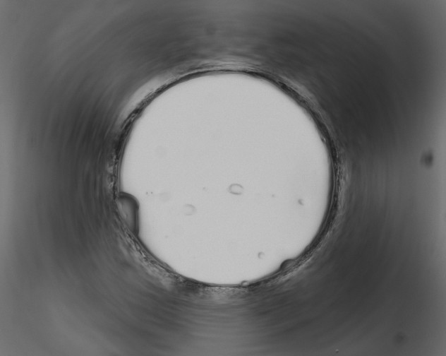 X0000115691163200912241456