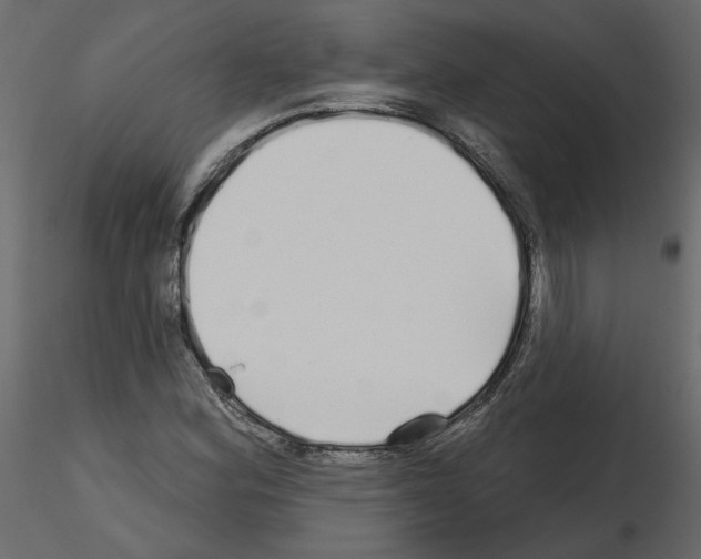 X0000115691164200912241456