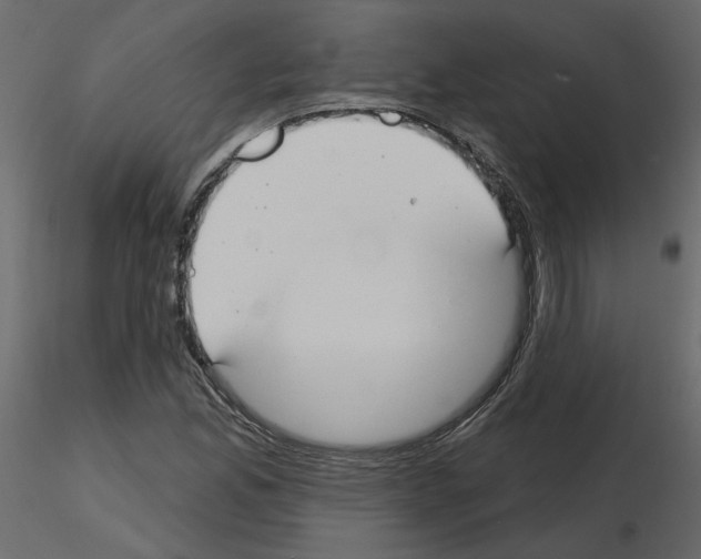 X0000115691165200912241456