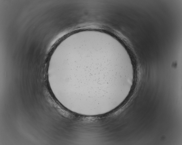 X0000115691166200912241456