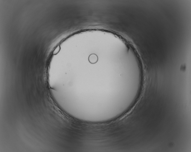 X0000115691167200912241455