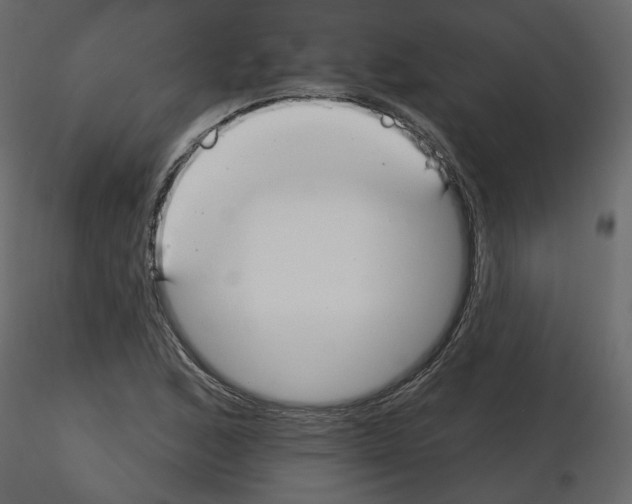 X0000115691168200912241455