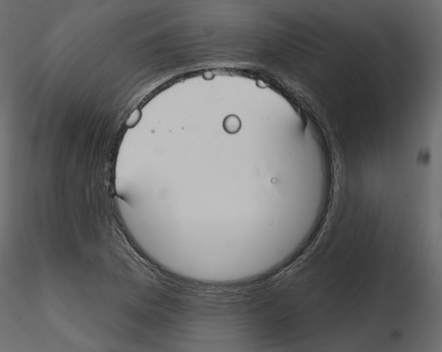 X0000115691169200912241455